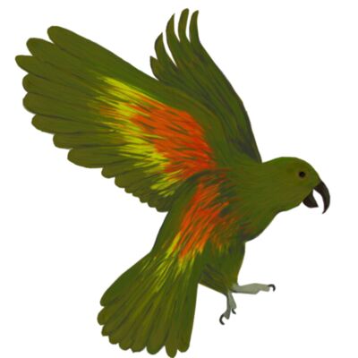 Kea Inbound  2  Thumbnail