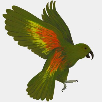 D76B65EC 8C31 4756 AC5A 2E53AC80080C Thumbnail