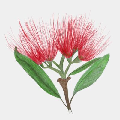 99C29D3A E2EF 4E53 859A 7DEE62551BEB Thumbnail