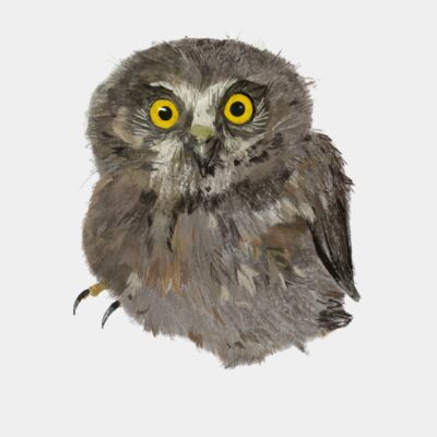 Mini Morepork Thumbnail